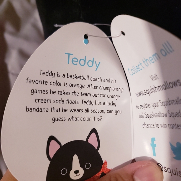 12 Inch Squishmallow - Picture 3 of 3